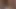 Auf xhamster bullwhipping