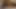 With another xhamster member