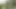 Auf xhamster bullwhipping