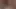 Auf xhamster bullwhipping